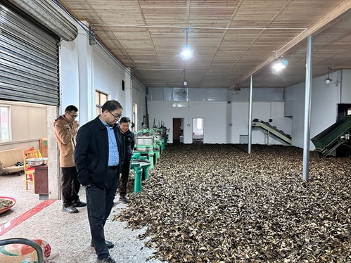 廣西農(nóng)科院 農(nóng)產(chǎn)品加工研究所