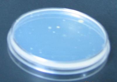 【簡單、好用、省時省力的研磨儀、勻漿機 簡單研磨儀】價格_廠家_圖片 -