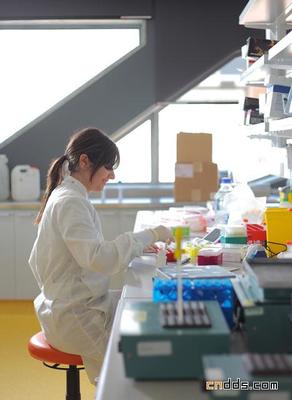 Menzies醫學研究所