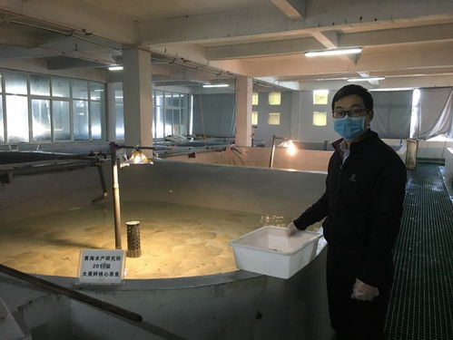 助力復產復工 書寫科技擔當 4 黃海水產研究所心系養殖產業,多措并舉支撐水產種業發展