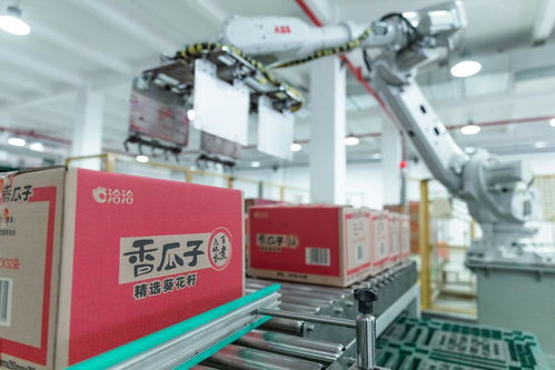 炒貨之都 合肥孕育這家瓜子企業(yè),用數(shù)字化控供應(yīng)鏈 合肥新質(zhì)觀⑧.視頻