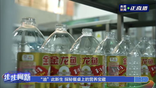 金龍魚 1 1 1再掀糧油熱潮 0 的突破正在被世界需要