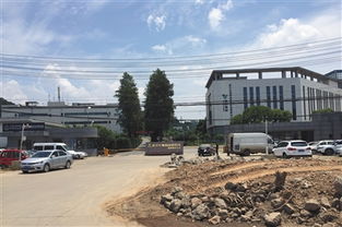 多部委赴武漢核查百白破疫苗處置工作