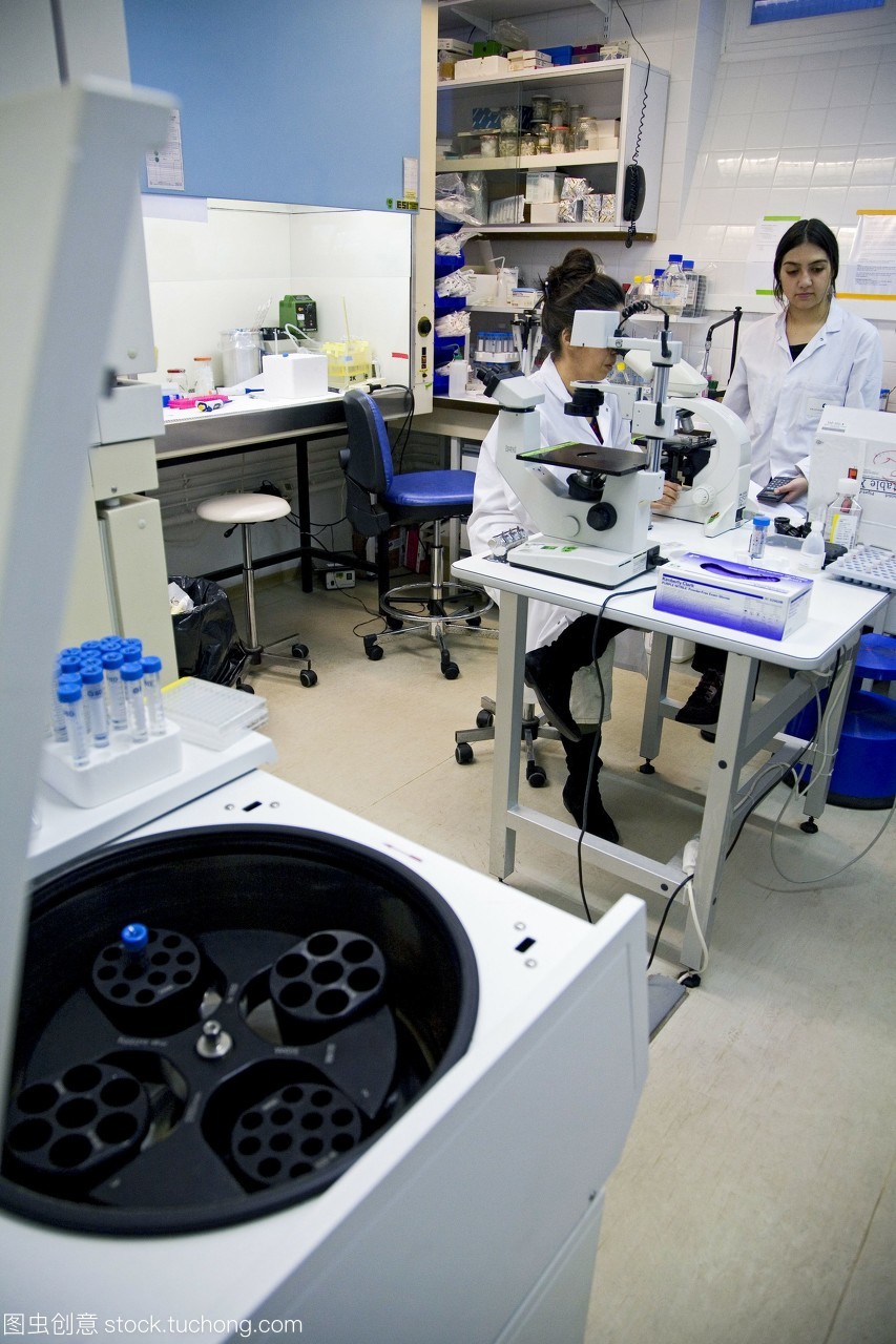 瘧疾疫苗的研究。研究人員檢查攜帶瘧疾的瘧原蟲的蚊子繁殖的生物醫學研究機構。這是一個抗瘧疫苗研究開發的一部分。拍攝在巴斯德研究所巴黎法國。