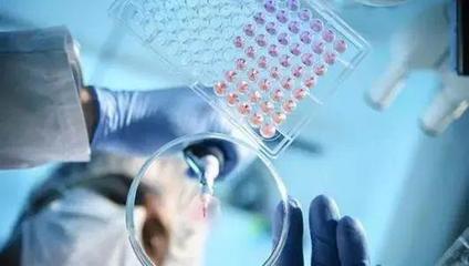 武漢病毒研究所:3種藥物對(duì)新型冠狀病毒有較好抑制作用