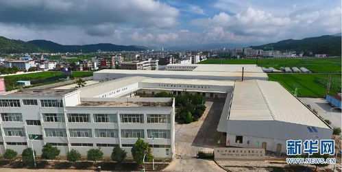 云南永勝 堅持黨建引領 產業培育積蓄新動能