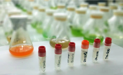 創新向未來,水密碼以科技之力點亮人文之美