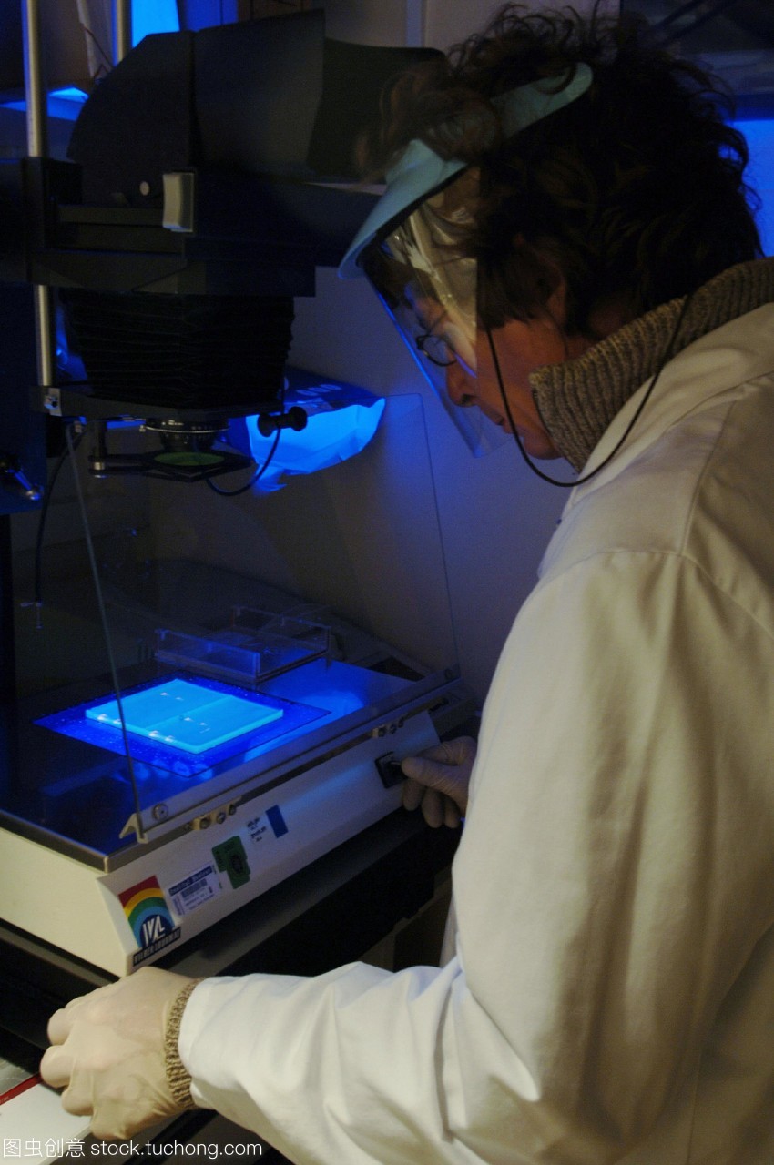 禽流感的研究。科學家研究凝膠電泳的結果用于禽流感病毒的基因組序列。病毒的片段的DNA脫氧核糖核酸被添加到應用凝膠和電流。這使核苷酸堿基沿著凝膠分離根據他們的大小。在過程運行基地作為樂隊出現在凝膠。基地可以讀取的序列確定的病毒株。病毒株H5N1可以被吸入傳染給人類受感染的鳥類的糞便也可以是致命的。人們擔心它可能變異成一種能在人與人之間傳播可能導致大流行。法國巴斯德研究所拍攝。