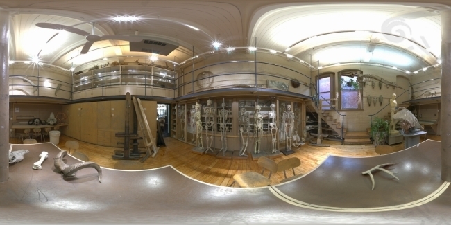 HDR生物研究所環境貼圖